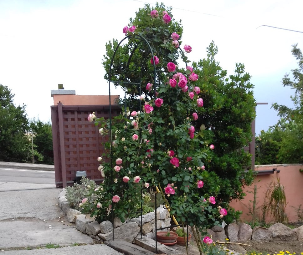 Agriturismo Li Cosi Boni Sardegna