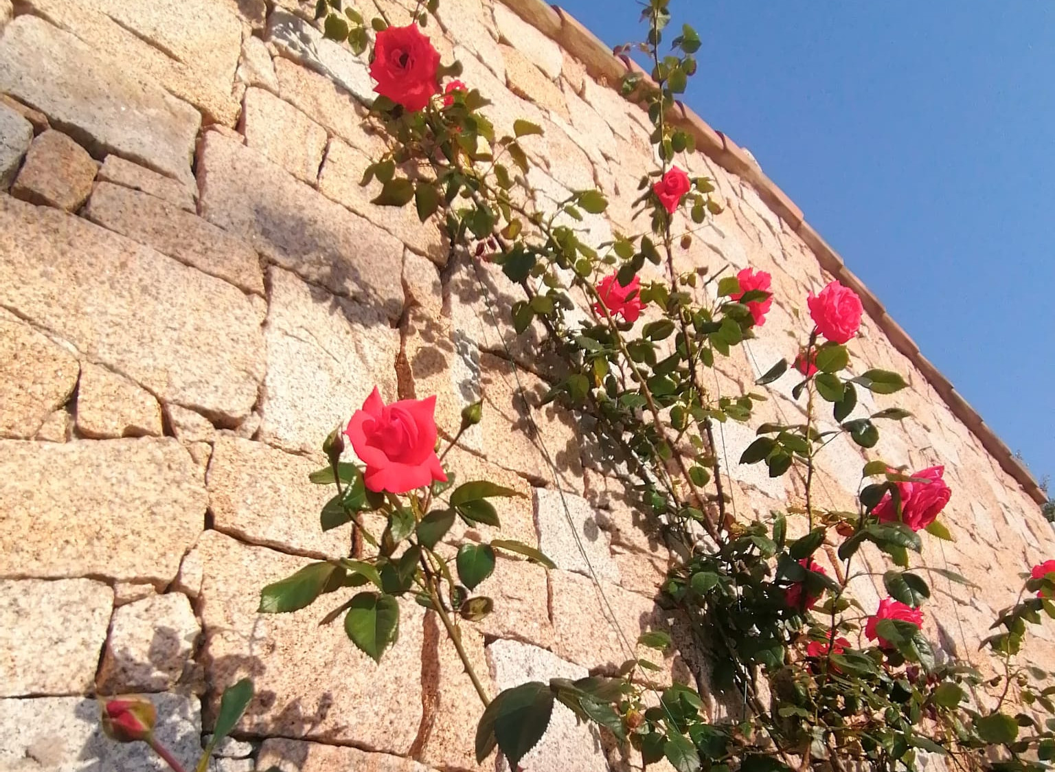 Agriturismo Li Cosi Boni Sardegna