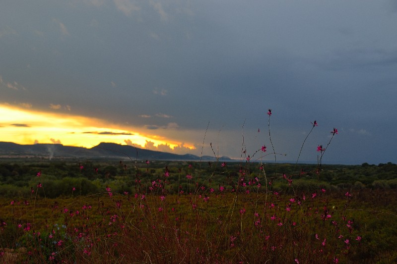 Agriturismo Li Cosi Boni Sardegna